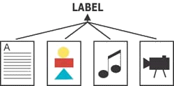 Everything points to the label!